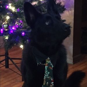 Meet your Posher, Waco